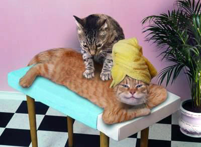 Massage Therapy Fun ماساژ درمانی